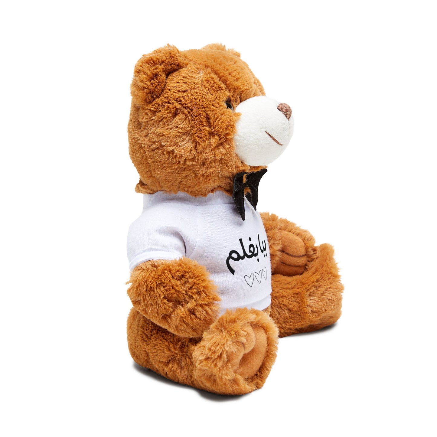Bia Baghalam Teddy Bear