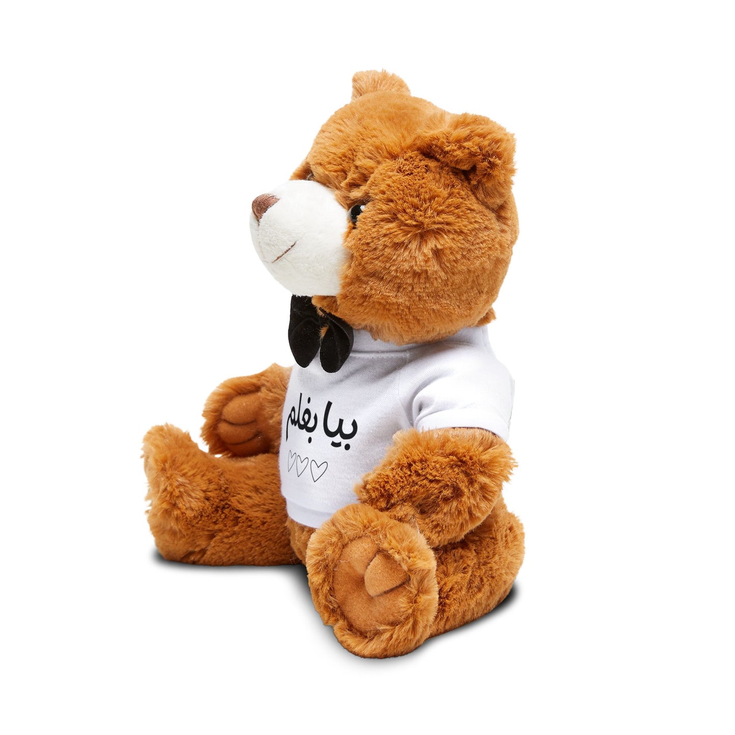 Bia Baghalam Teddy Bear