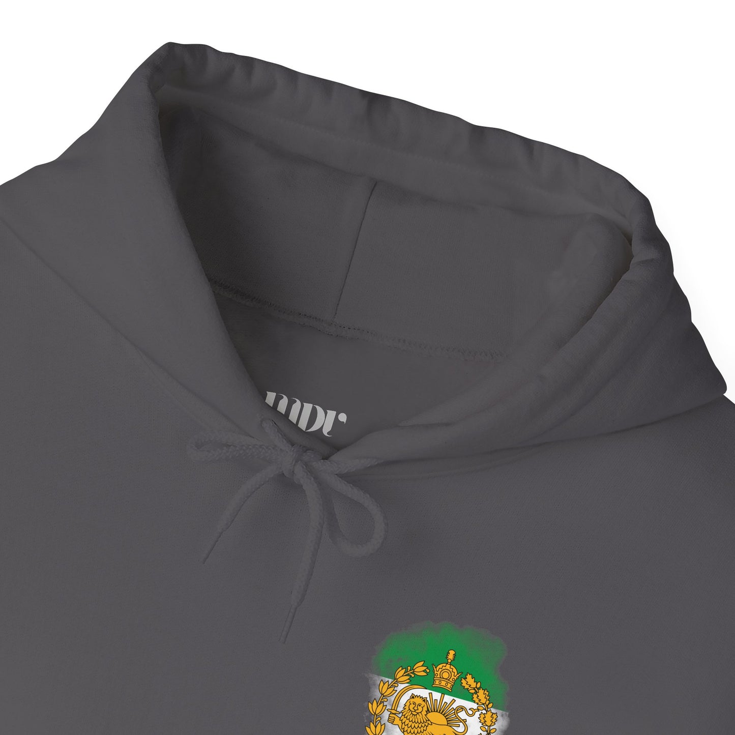 Lion and Sun of Iran Unisex Hoodie