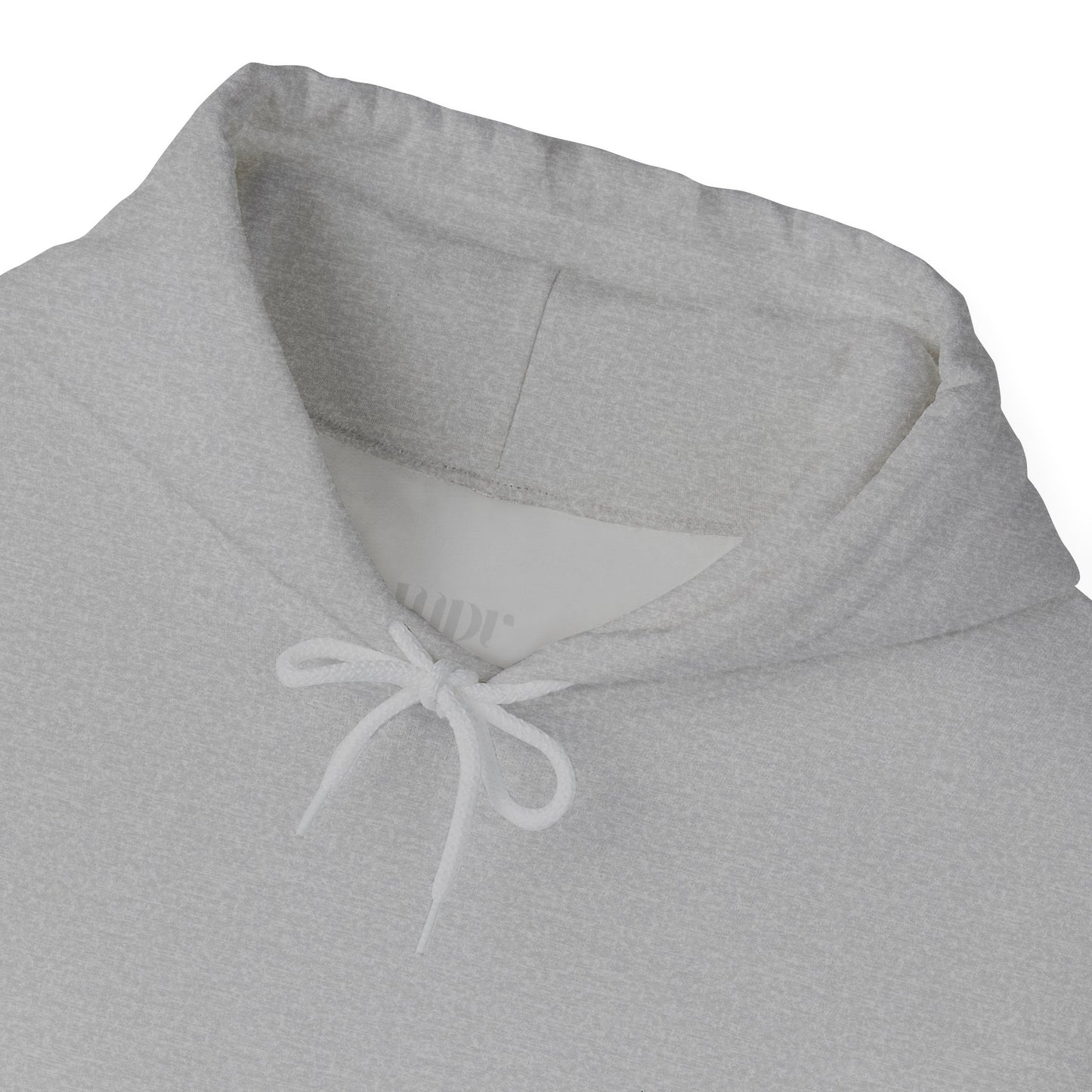 Court of Gayumars - Shahnameh Unisex Hoodie